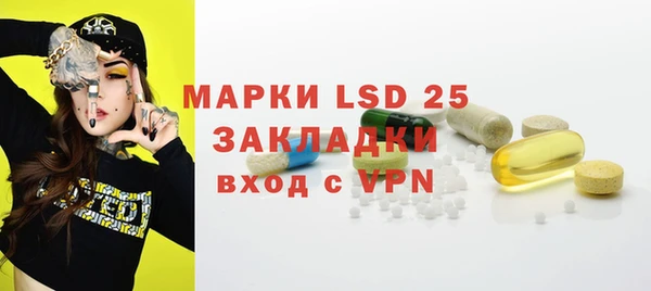 крисы Верхний Тагил