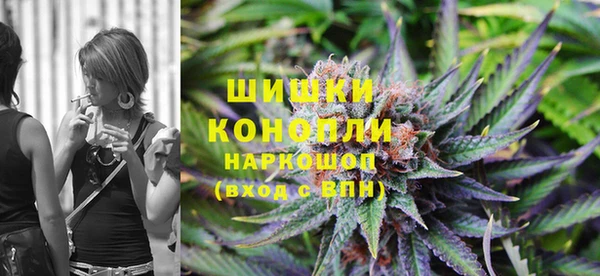 стаф Володарск