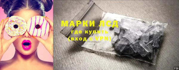 стаф Володарск