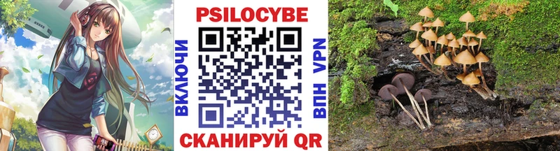 Купить  Микунь  Галлюциногенные грибы GOLDEN TEACHER 